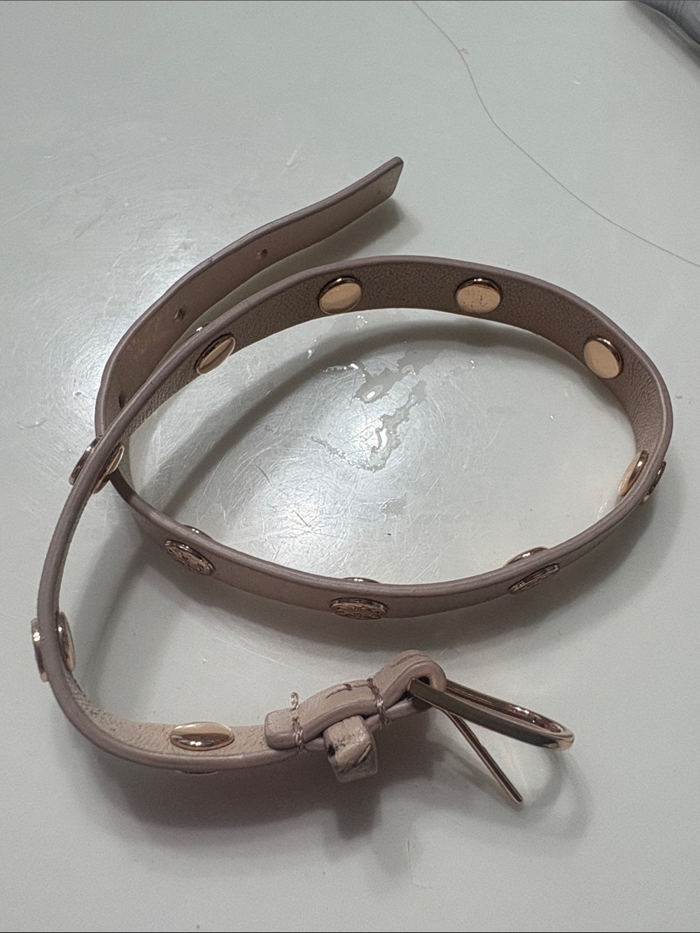 Tory Burch Taupe Leather Belt with Gold Studs